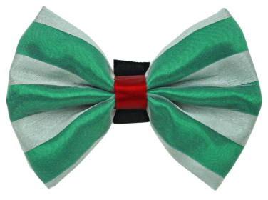 PR3006X|Pets Ribbons (Color: Green/White, size: 2")