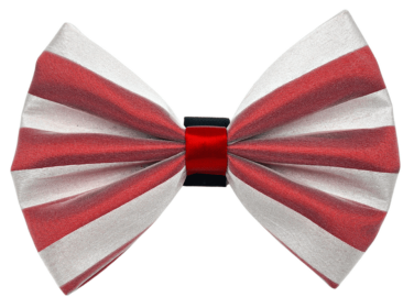 PR3006X|Pets Ribbons (Color: White/Red, size: 4")